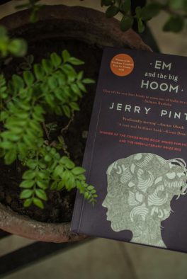 Em and the big Hoom (Jerry Pinto)