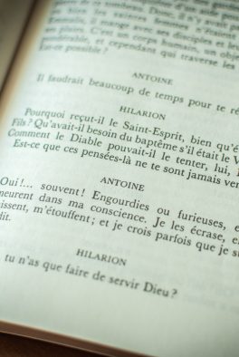 The Temptation of Saint Anthony (Flaubert)